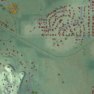 Second close-up of the map of Trinity, Alabama print showing more streets and buildings