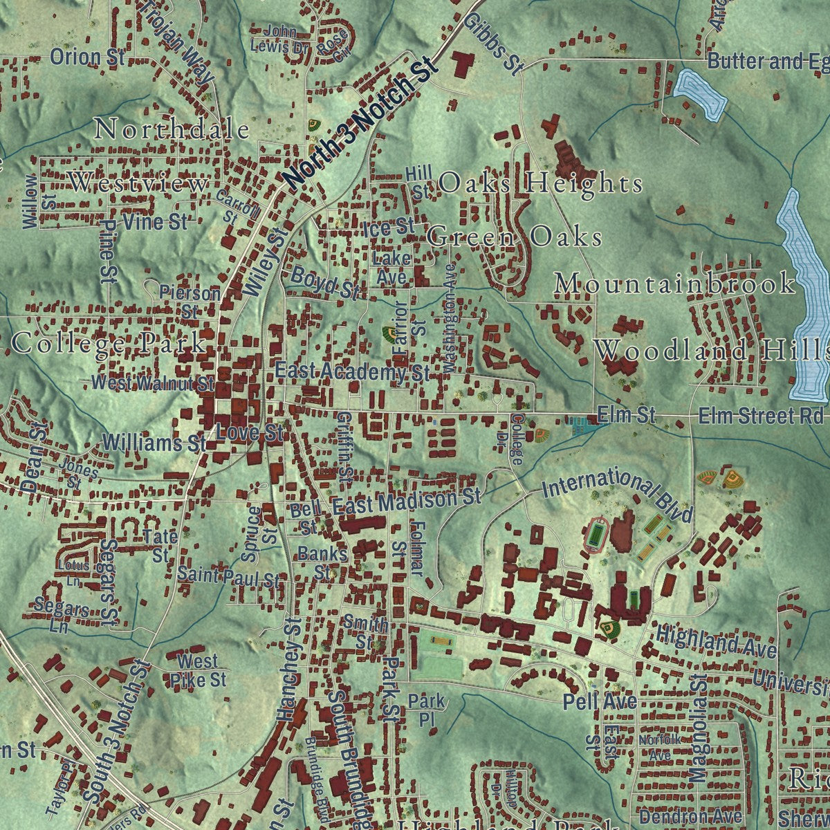 Close-up of the map of Troy, Alabama print showing street and building detail
