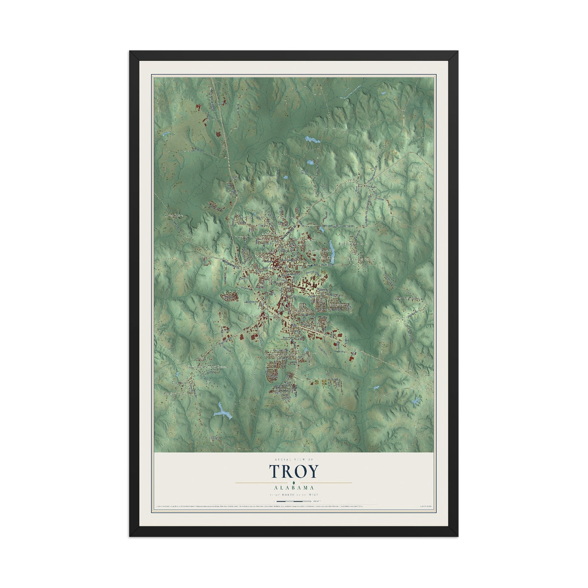 Map of Troy, Alabama, 12 x 18 inch print in a black wood frame