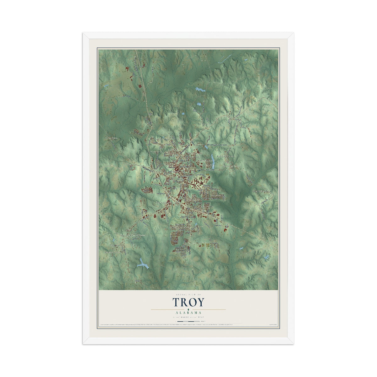 Map of Troy, Alabama, 12 x 18 inch print in a white wood frame