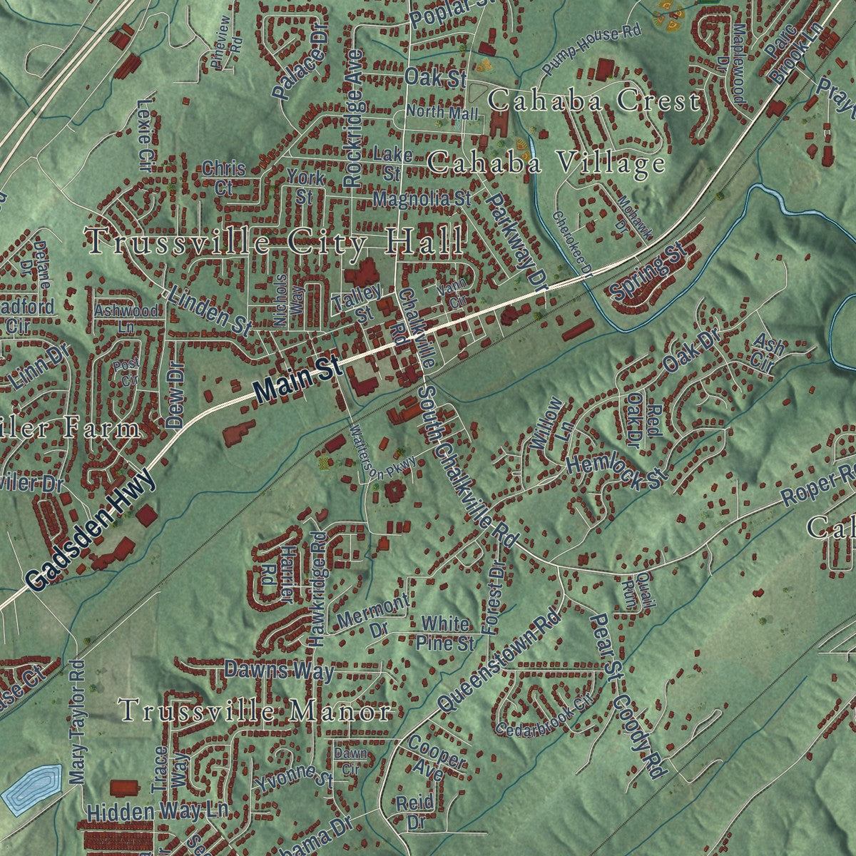 Close-up of the map of Trussville, Alabama print showing street and building detail