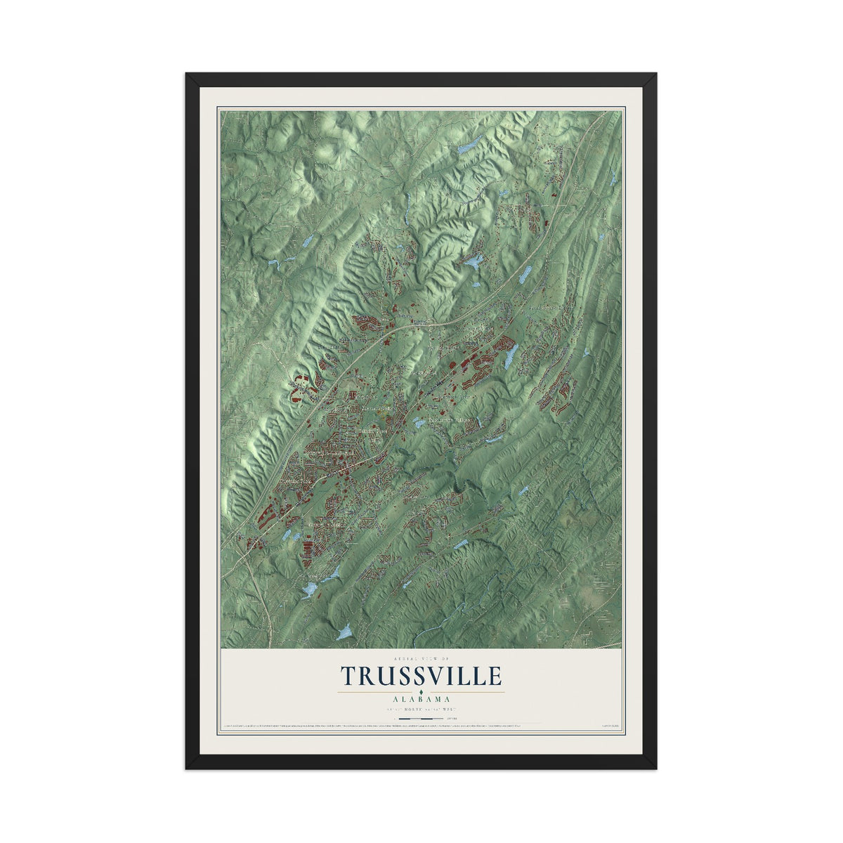 Map of Trussville, Alabama, 12 x 18 inch print in a black wood frame