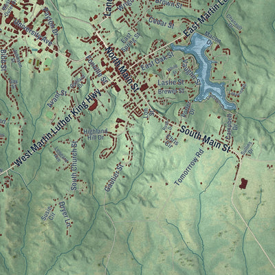 Close-up of the map of Tuskegee, Alabama print showing street and building detail