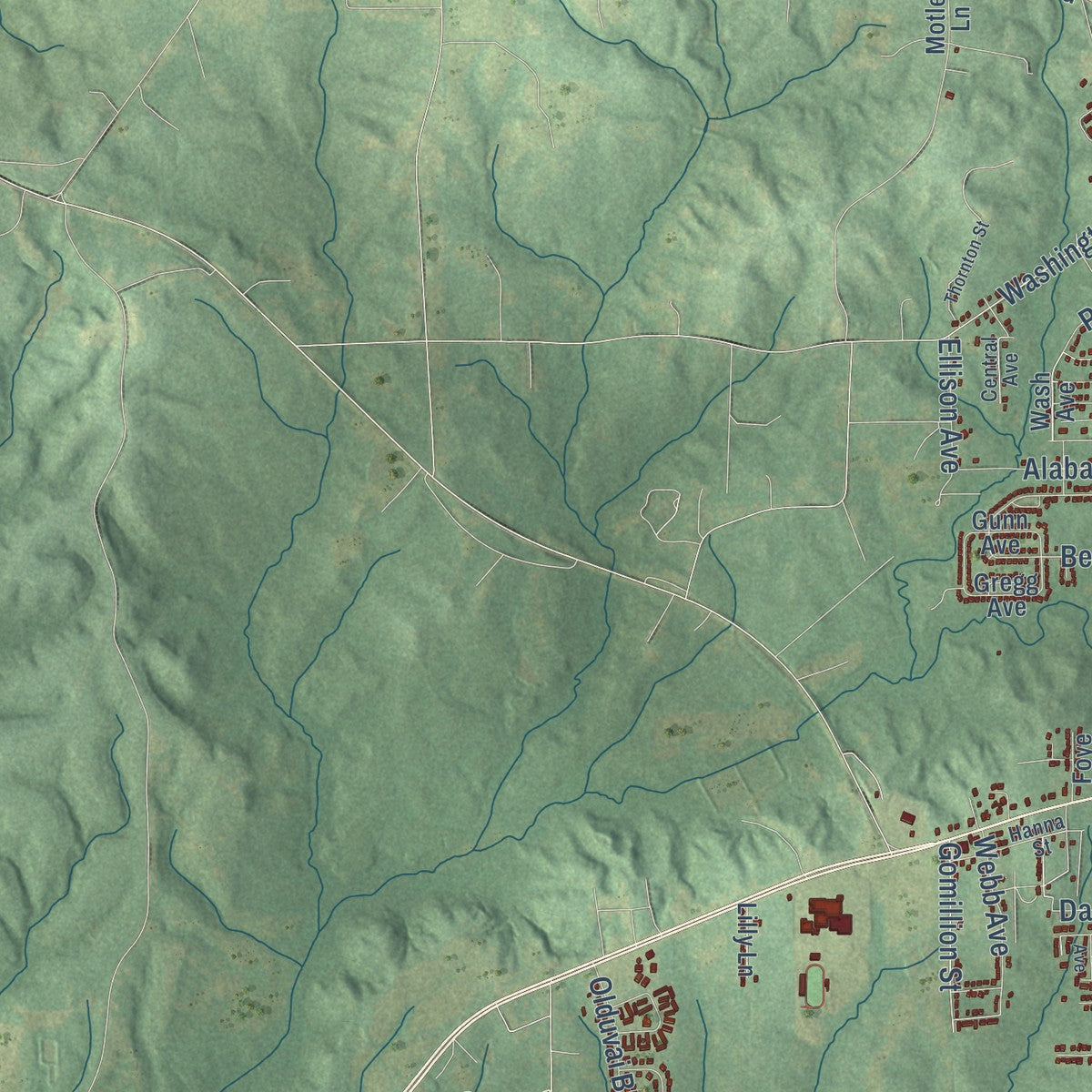 Second close-up of the map of Tuskegee, Alabama print showing more streets and buildings
