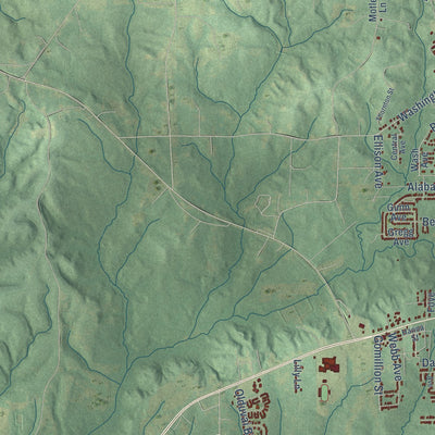 Second close-up of the map of Tuskegee, Alabama print showing more streets and buildings