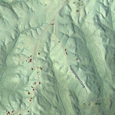 Second close-up of the map of Twin, Alabama print showing more streets and buildings