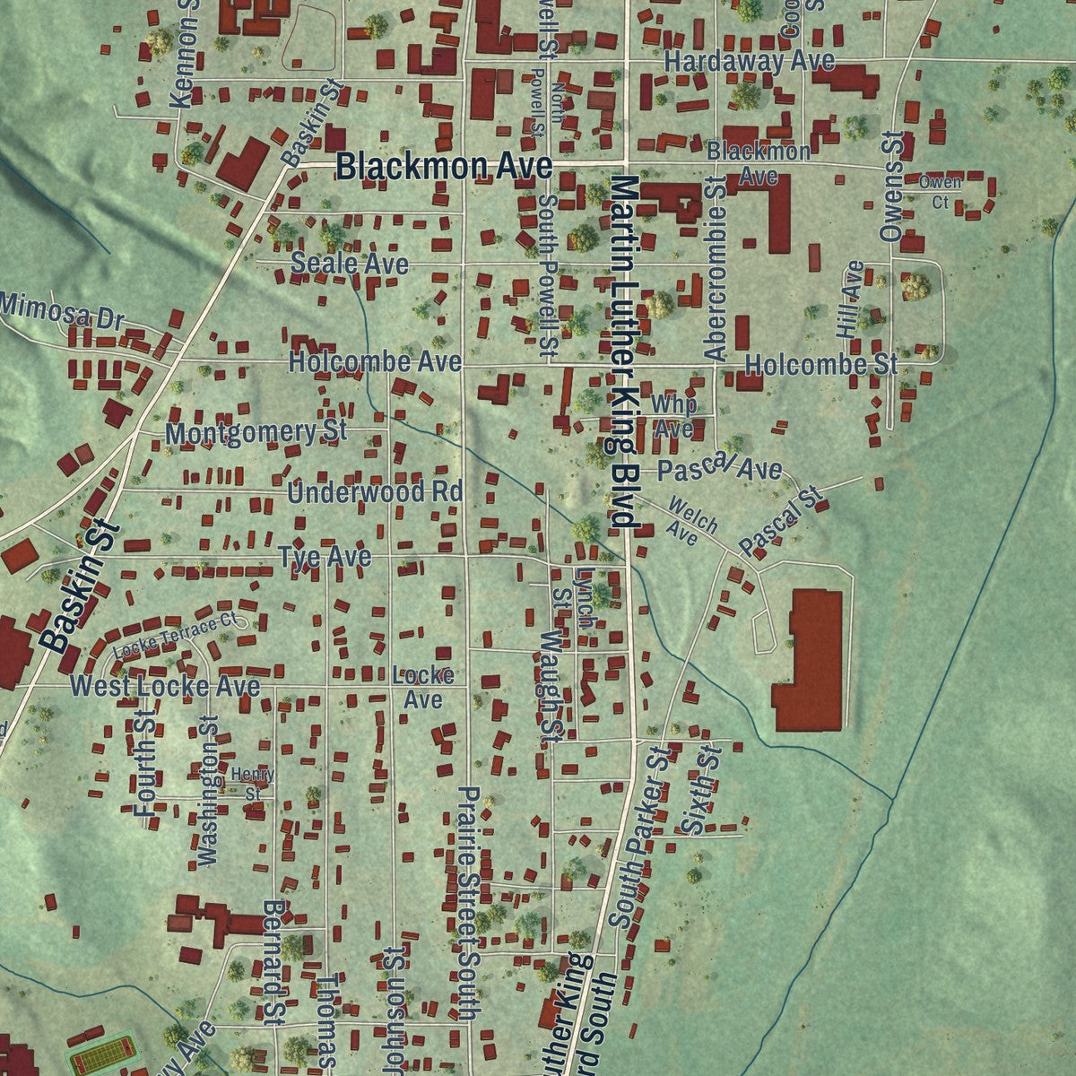 Close-up of the map of Union Springs, Alabama print showing street and building detail