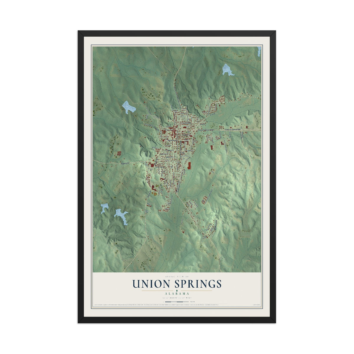 Map of Union Springs, Alabama, 12 x 18 inch print in a black wood frame