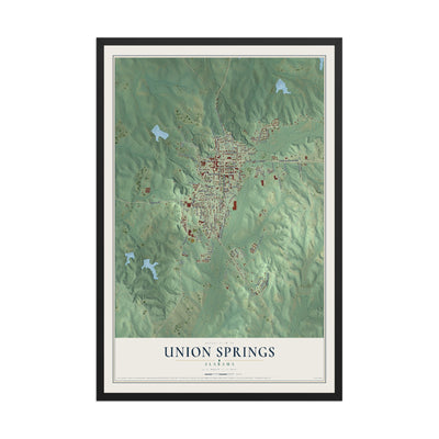 Map of Union Springs, Alabama, 12 x 18 inch print in a black wood frame
