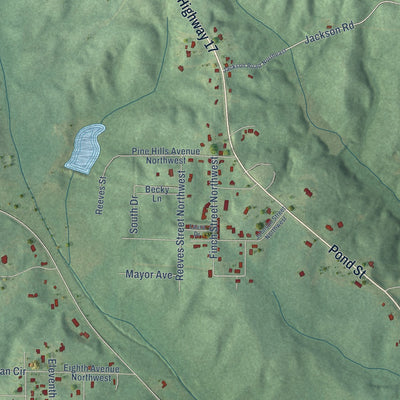 Second close-up of the map of Vernon, Alabama print showing more streets and buildings
