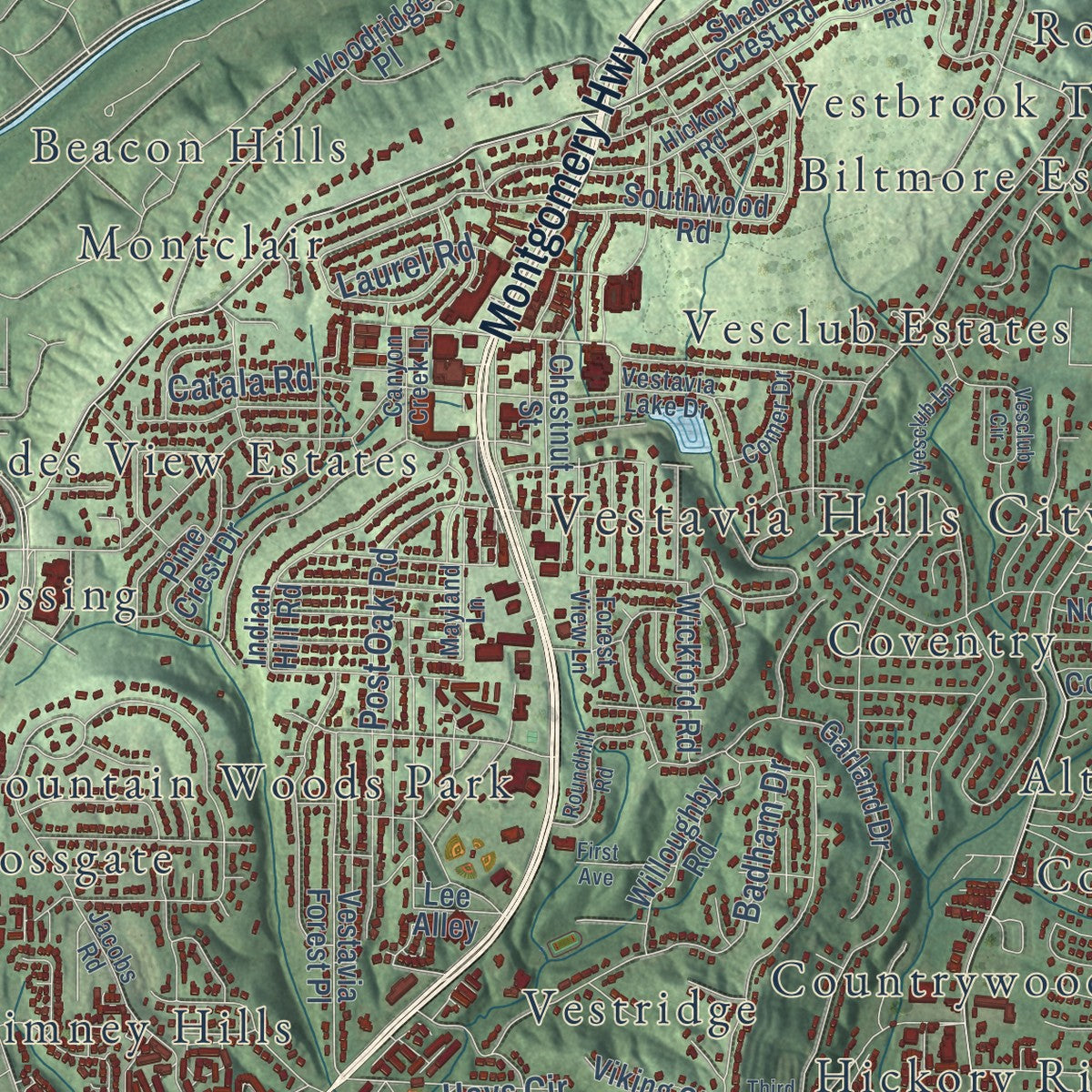 Close-up of the map of Vestavia Hills, Alabama print showing street and building detail