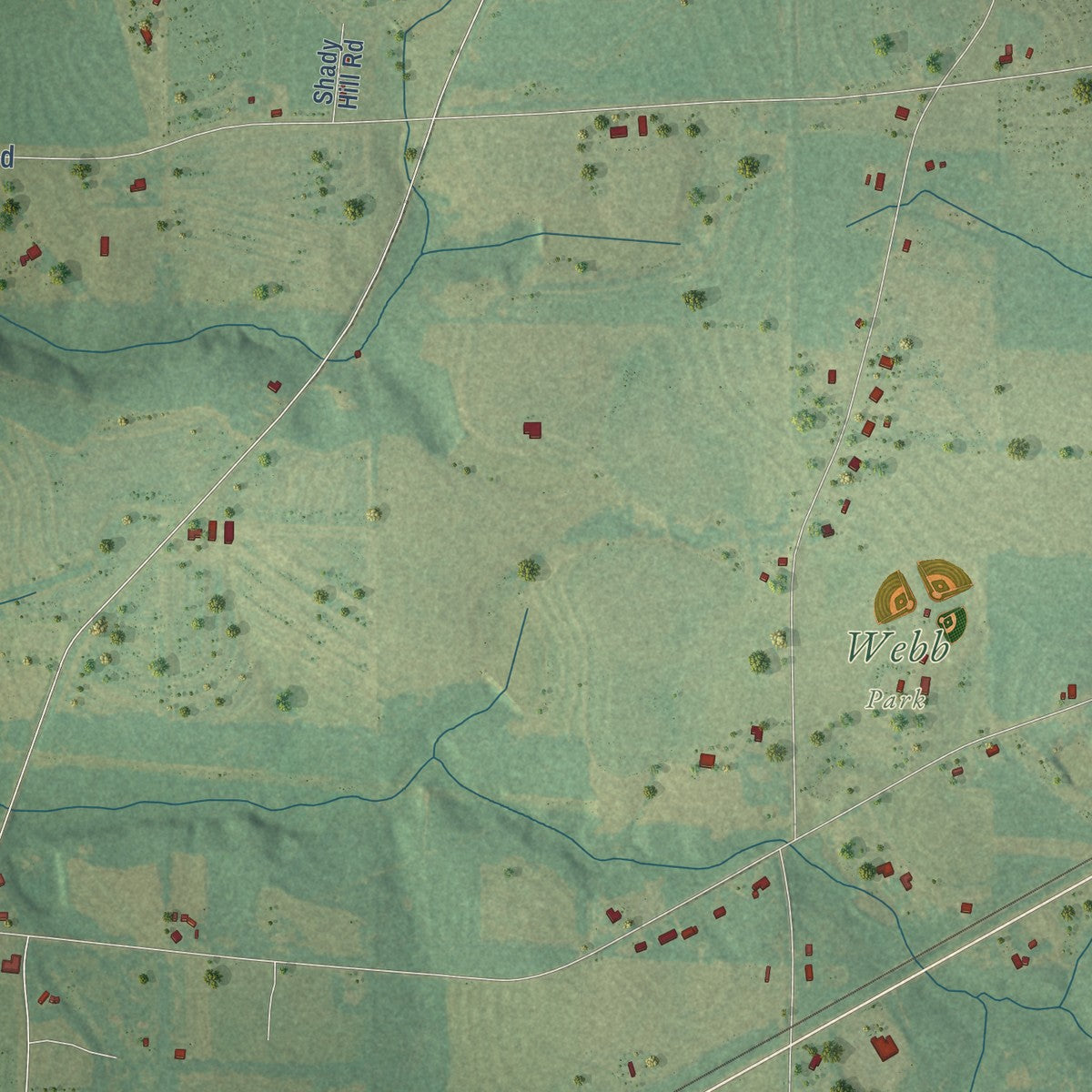 Second close-up of the map of Webb, Alabama print showing more streets and buildings
