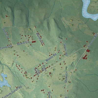 Close-up of the map of White Hall, Alabama print showing street and building detail
