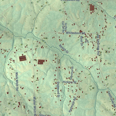 Close-up of the map of Whitesboro, Alabama print showing street and building detail