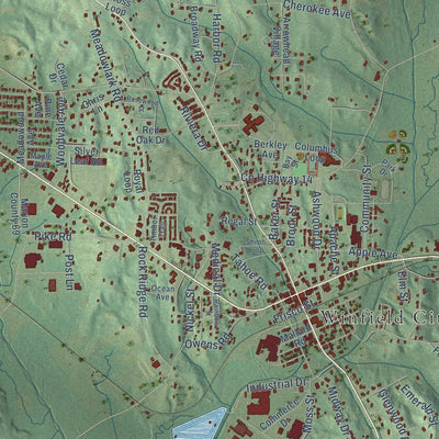 Close-up of the map of Winfield, Alabama print showing street and building detail