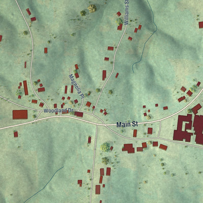 Close-up of the map of Woodland, Alabama print showing street and building detail