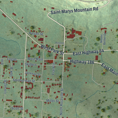 Close-up of the map of Altus, Arkansas print showing street and building detail