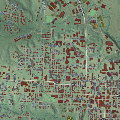 Close-up of the map of Arkadelphia, Arkansas print showing street and building detail