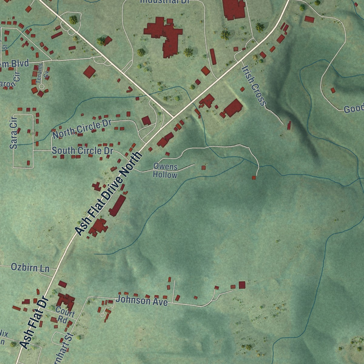 Close-up of the map of Ash Flat, Arkansas print showing street and building detail