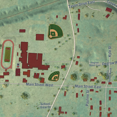 Close-up of the map of Bergman, Arkansas print showing street and building detail