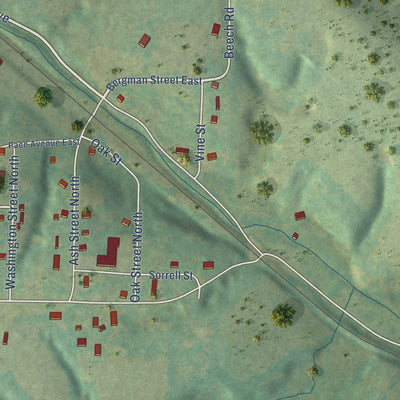 Second close-up of the map of Bergman, Arkansas print showing more streets and buildings