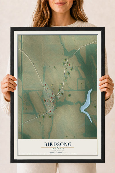 Map of Birdsong, Arkansas, 18 x 24 inch print in a black wood frame