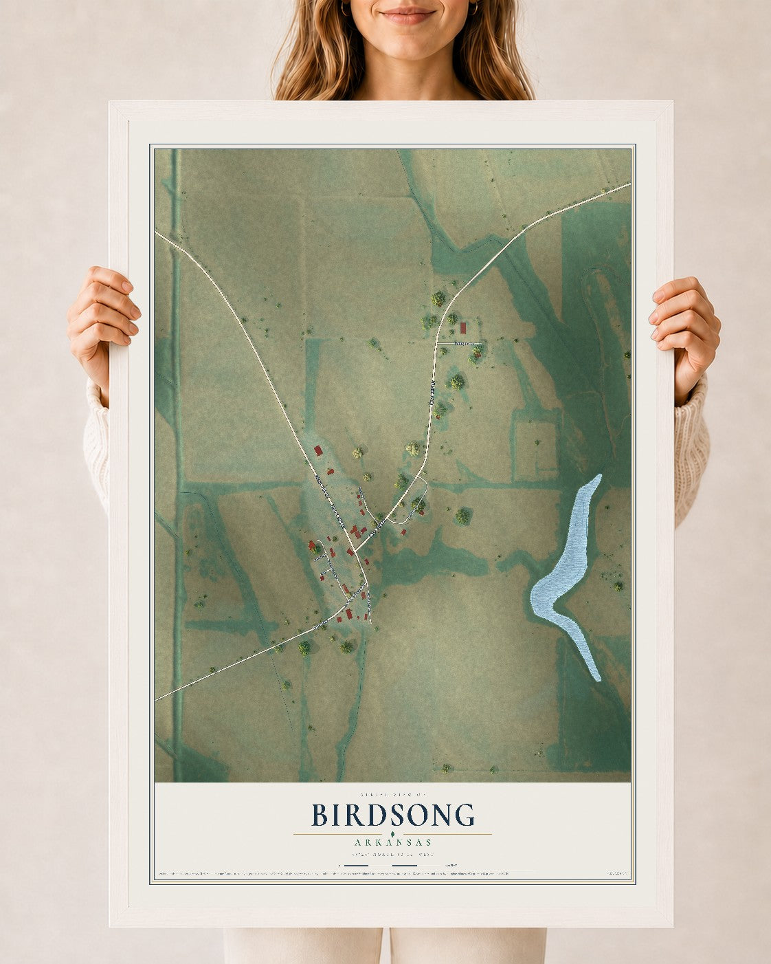 Map of Birdsong, Arkansas, 24 x 36 inch print in a white wood frame