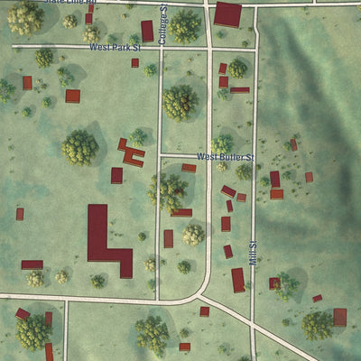 Close-up of the map of Blue Eye, Arkansas print showing street and building detail