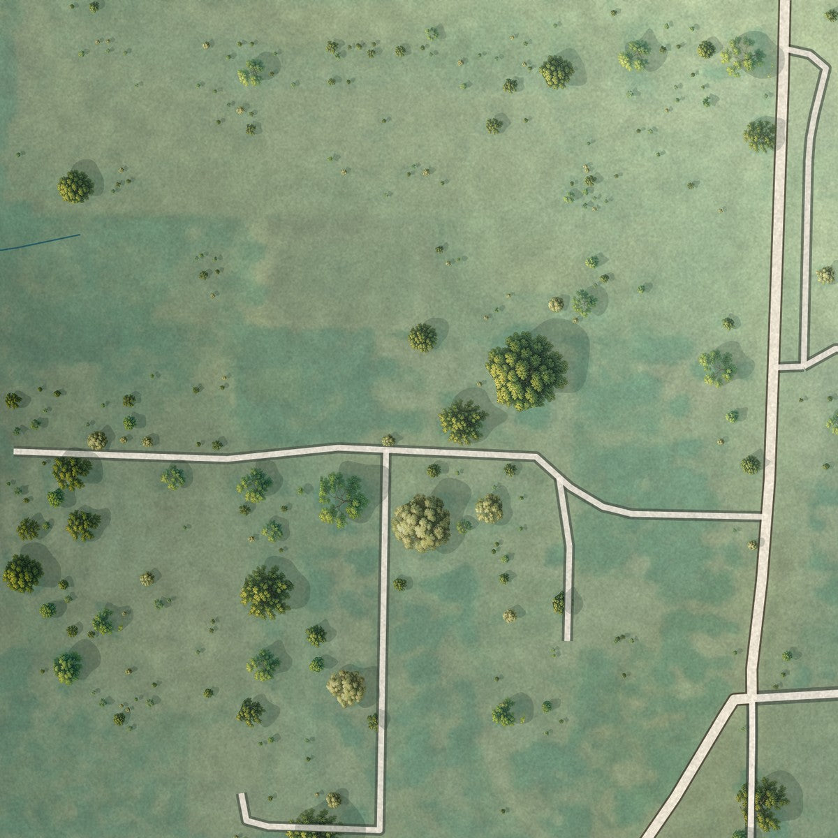Second close-up of the map of Blue Eye, Arkansas print showing more streets and buildings