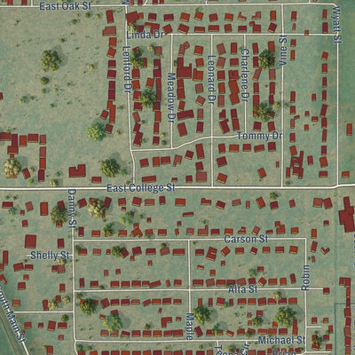 Close-up of the map of Bono, Arkansas print showing street and building detail