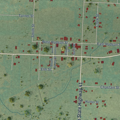 Close-up of the map of Branch, Arkansas print showing street and building detail