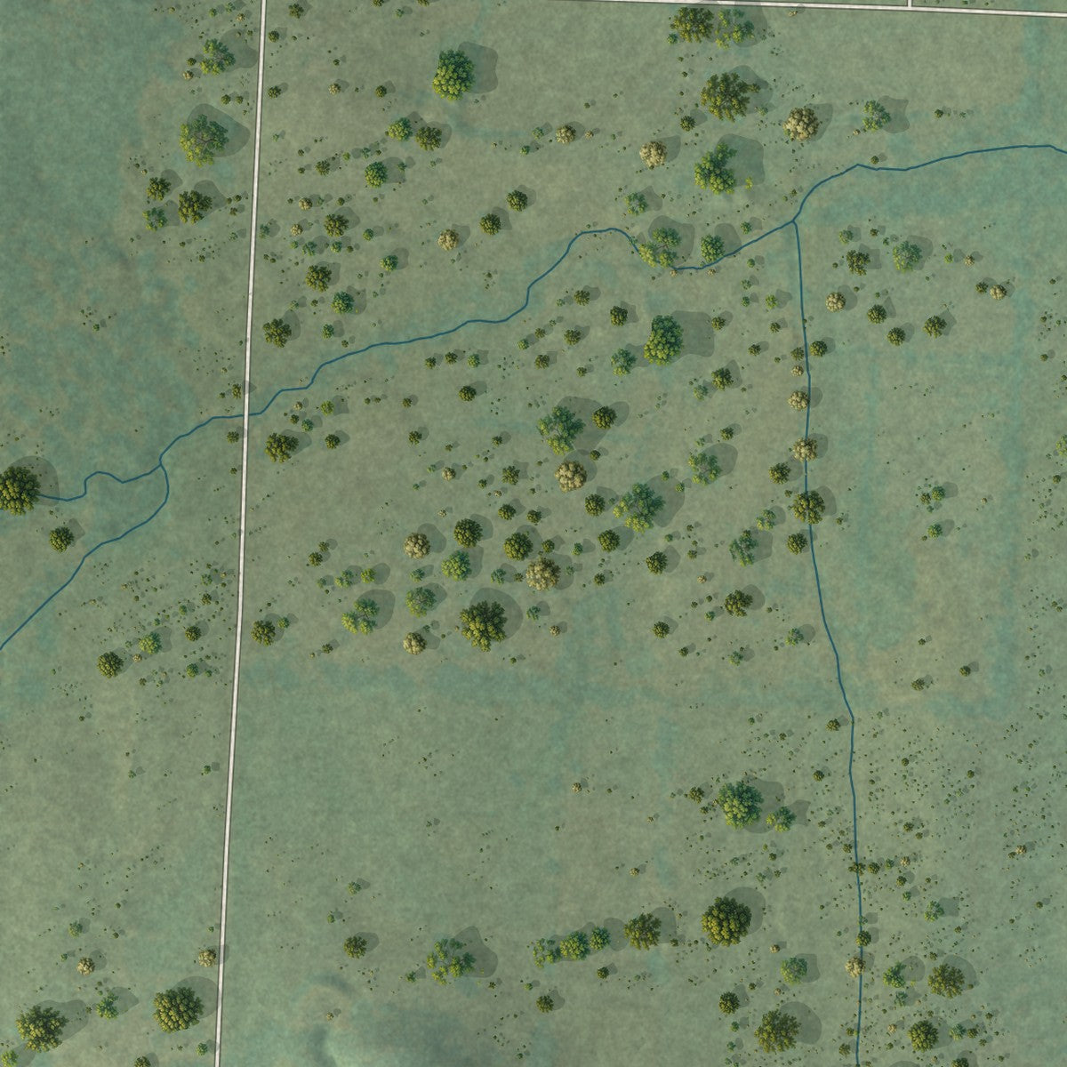 Second close-up of the map of Branch, Arkansas print showing more streets and buildings
