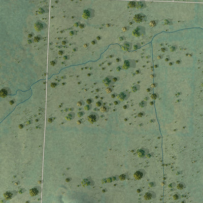 Second close-up of the map of Branch, Arkansas print showing more streets and buildings