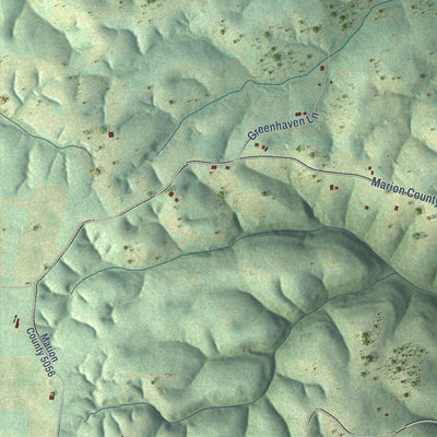 Close-up of the map of Bruno, Arkansas print showing street and building detail