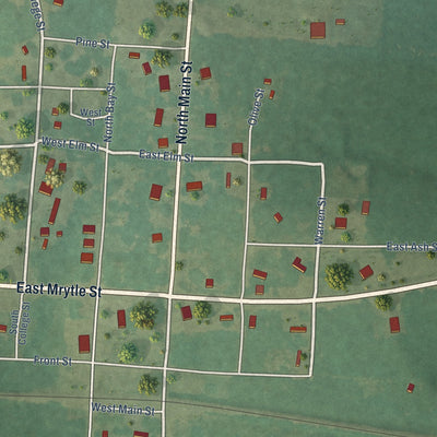 Close-up of the map of Buckner, Arkansas print showing street and building detail