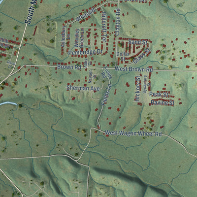 Second close-up of the map of Cave Springs, Arkansas print showing more streets and buildings