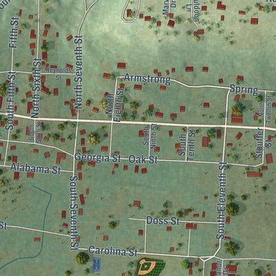 Close-up of the map of Coal Hill, Arkansas print showing street and building detail