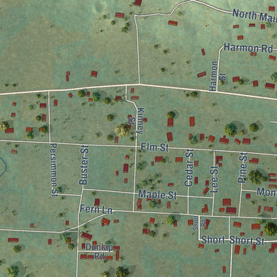 Second close-up of the map of Coal Hill, Arkansas print showing more streets and buildings