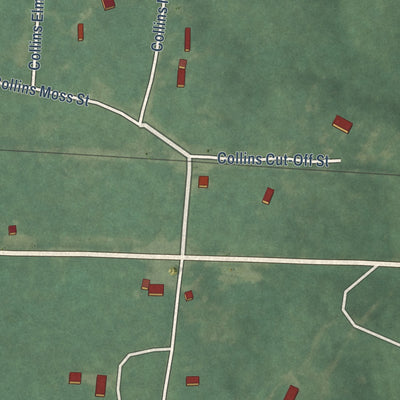 Close-up of the map of Collins, Arkansas print showing street and building detail