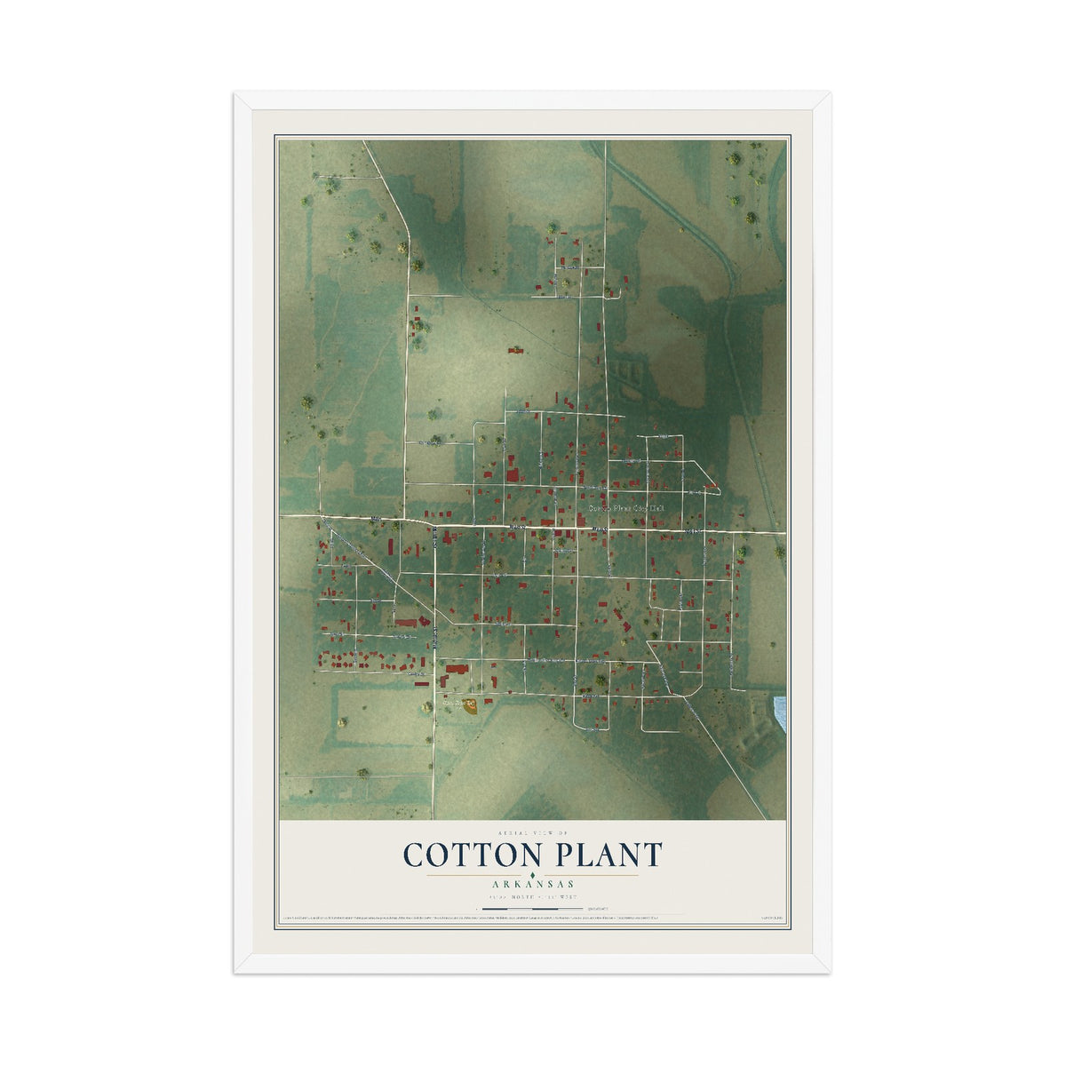 Map of Cotton Plant, Arkansas, 12 x 18 inch print in a white wood frame