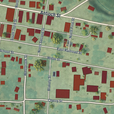 Close-up of the map of Delight, Arkansas print showing street and building detail