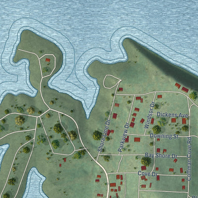 Close-up of the map of Diamond City, Arkansas print showing street and building detail