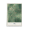 Map of Emmet, Arkansas, 12 x 18 inch unframed archival matte print