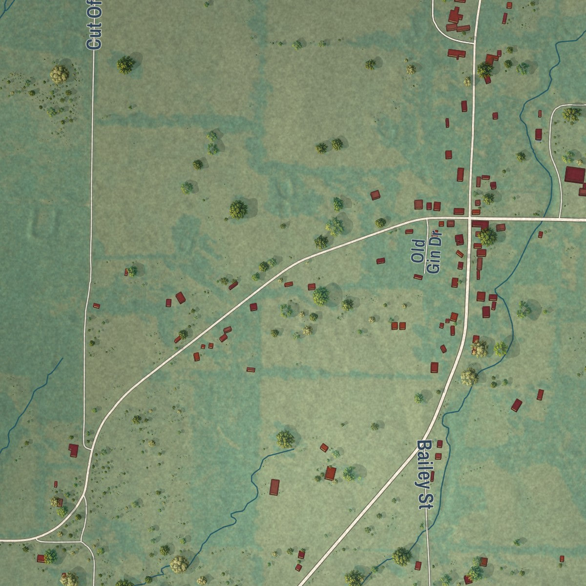 Close-up of the map of Enola, Arkansas print showing street and building detail