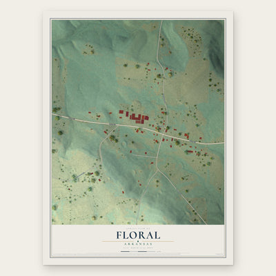 Floral, Arkansas map print, the full design