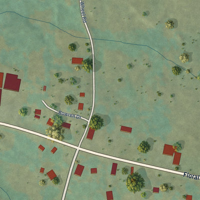 Close-up of the map of Floral, Arkansas print showing street and building detail