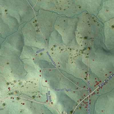Close-up of the map of Franklin, Arkansas print showing street and building detail