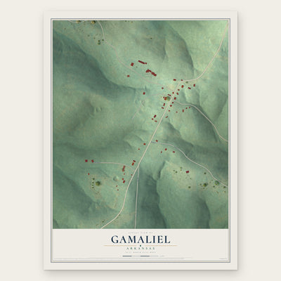 Gamaliel, Arkansas map print, the full design