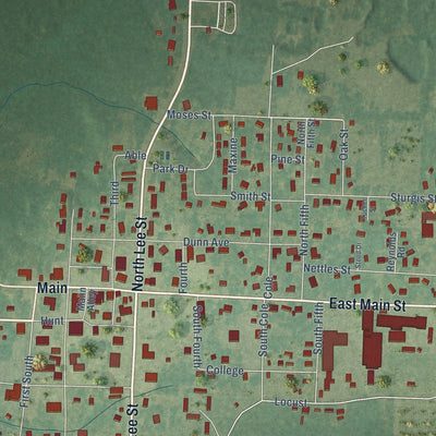 Close-up of the map of Hampton, Arkansas print showing street and building detail