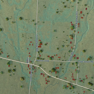 Close-up of the map of Hattieville, Arkansas print showing street and building detail